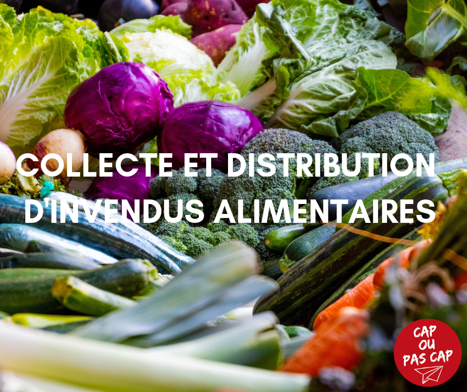 Collecte et distribution d'invendus : thème de la semaine du 13/05 ...